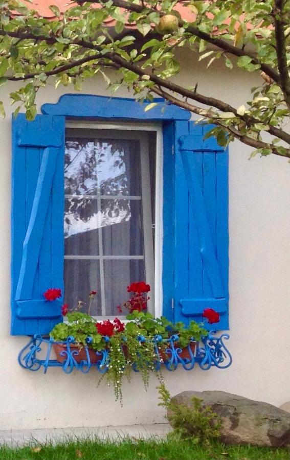 Flower Street Svityaz' Dış mekan fotoğraf